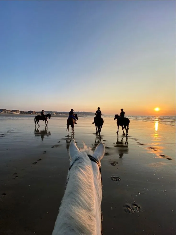 Horse Riding – Essaouira