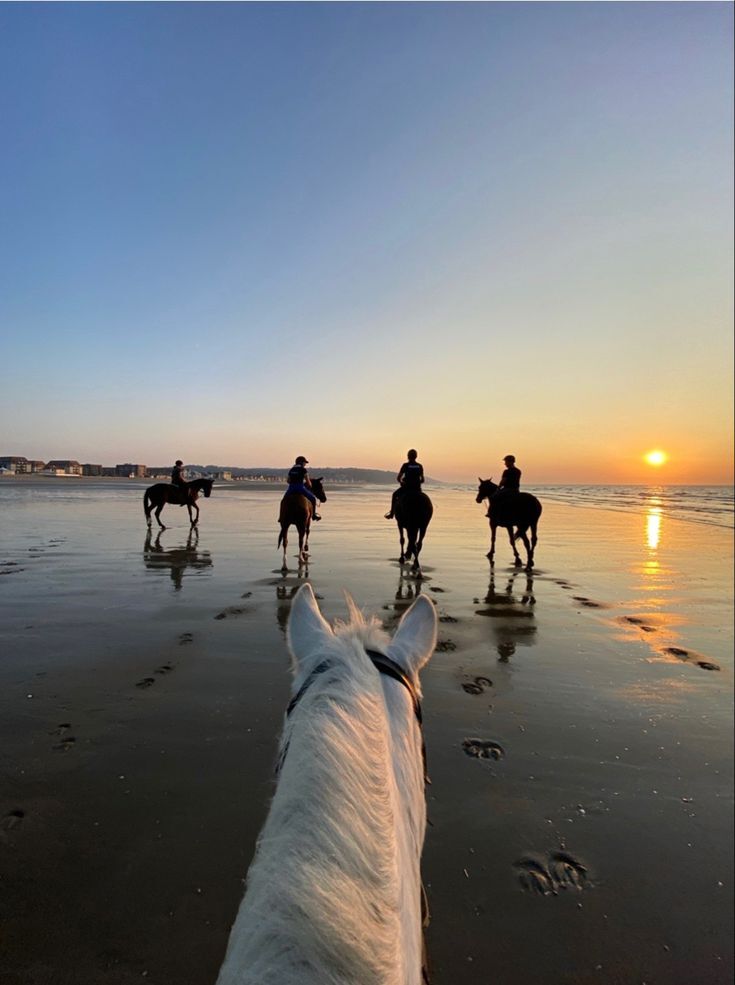 Horse riding Essaouira