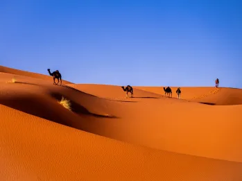 Tour de 3 Días al Desierto del Sahara y Erg Chebbi